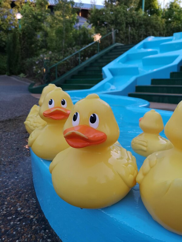 duck tours in singapore